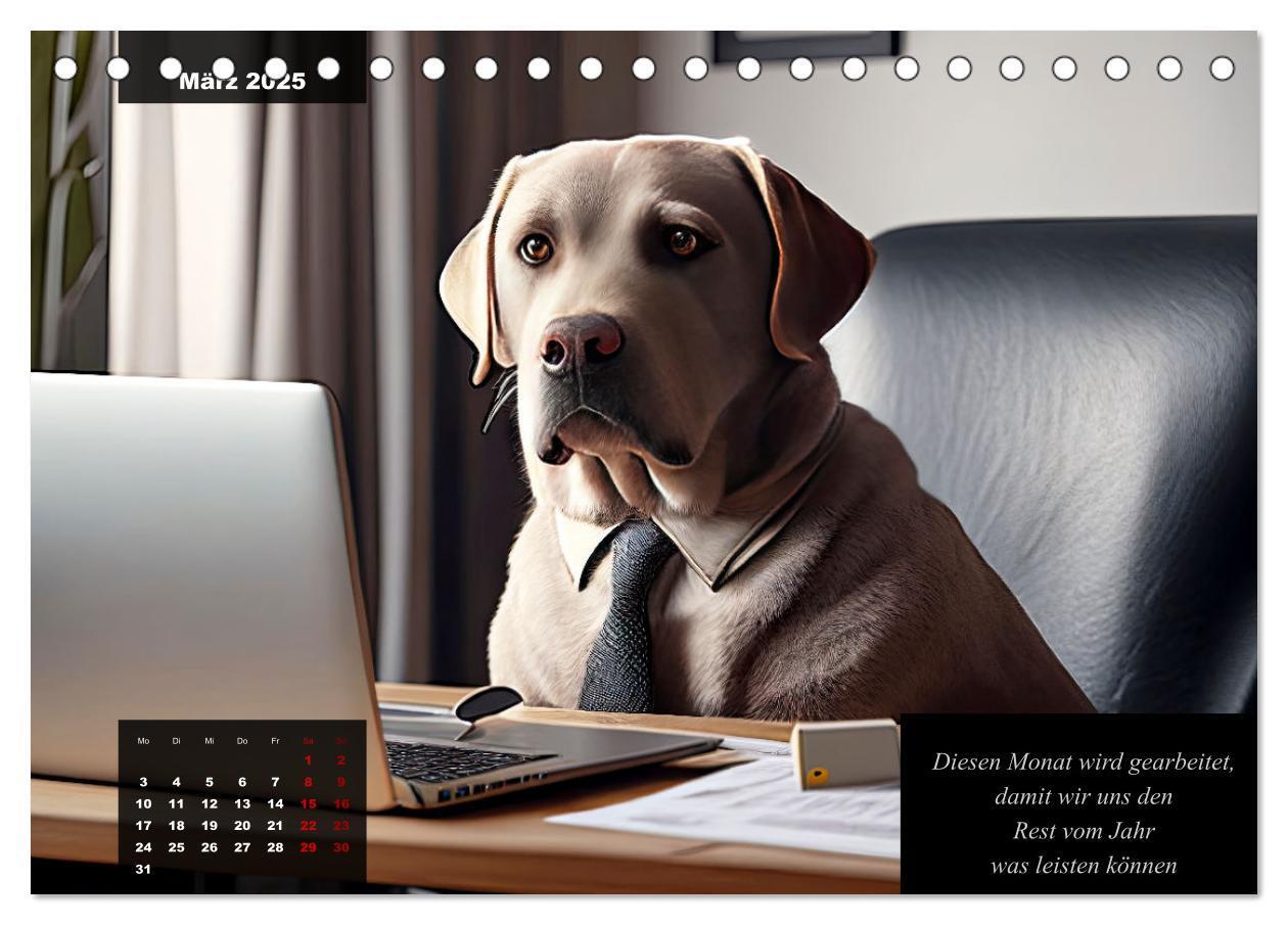 Bild: 9783435369027 | Der witzige Labrador-Kalender (Tischkalender 2025 DIN A5 quer),...