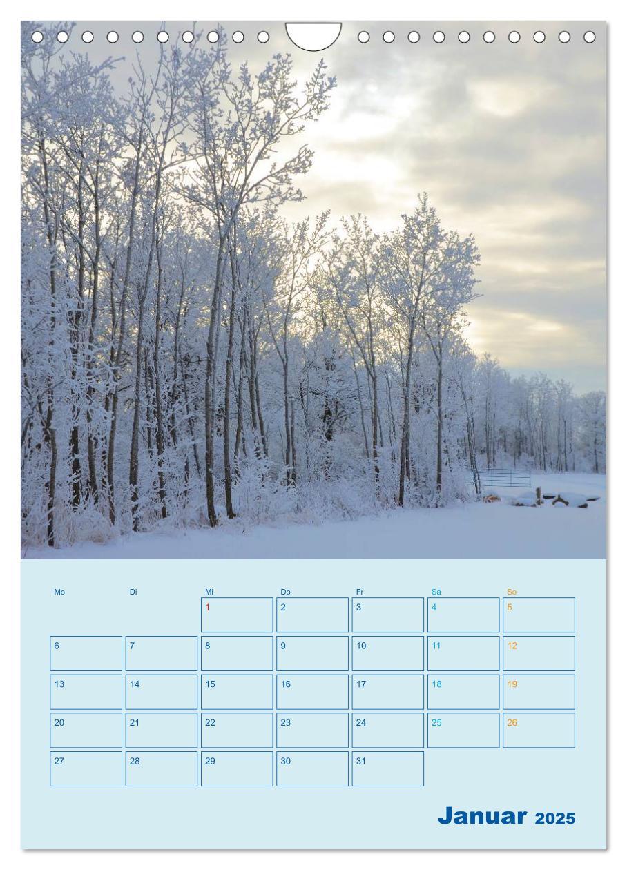 Bild: 9783457055540 | Wald- und Wiesenkalender 2025 Planer (Wandkalender 2025 DIN A4...