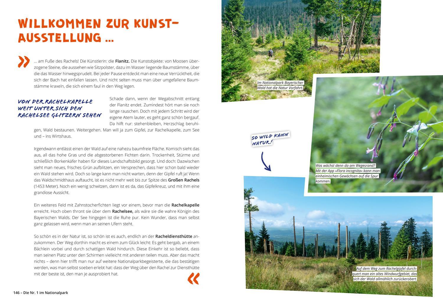 Bild: 9783616032290 | DuMont Wanderzeit im Bayerischen Wald | Melanie Wolfmeier | Buch