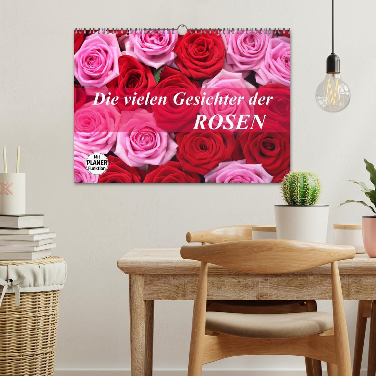 Bild: 9783435467761 | Die vielen Gesichter der Rosen (Wandkalender 2025 DIN A3 quer),...