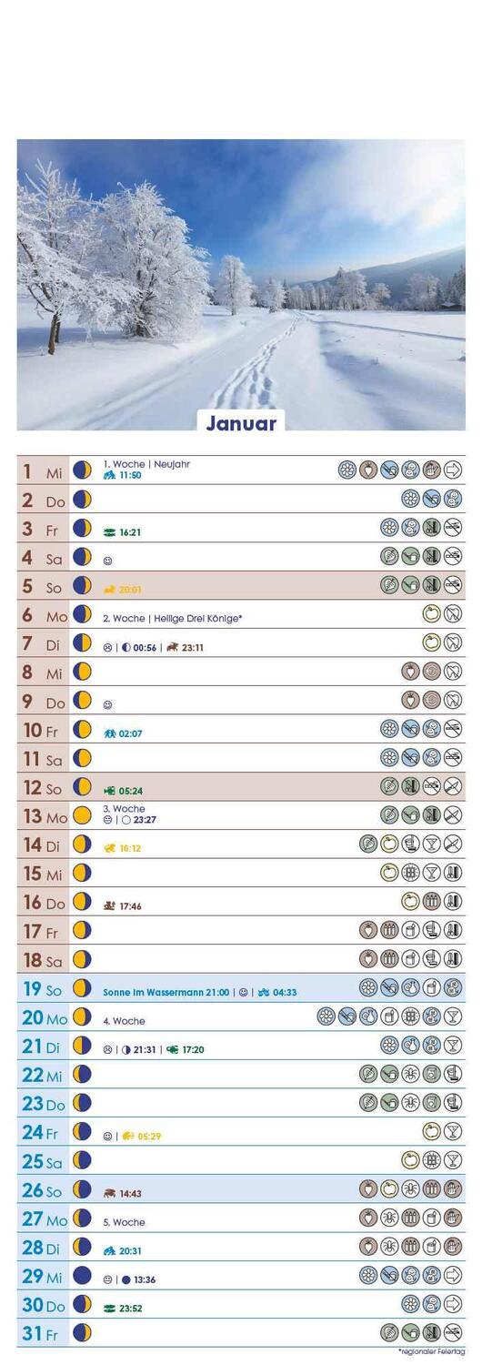 Bild: 4251732341541 | Mondkalender 2025 - Streifen-Kalender 14,85x42 cm - Wandplaner -...