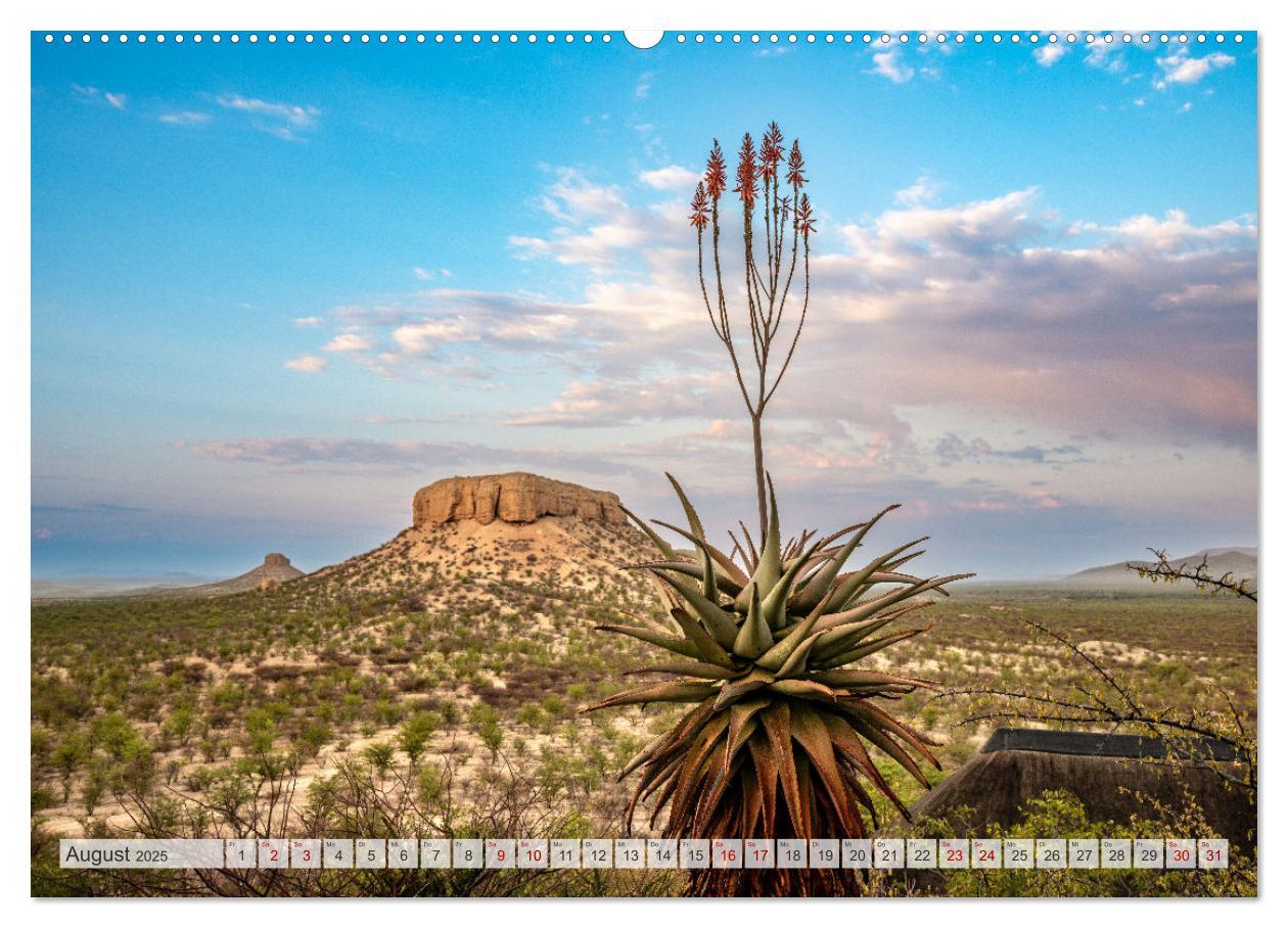 Bild: 9783383853289 | Abenteuerliches Namibia (Wandkalender 2025 DIN A2 quer), CALVENDO...