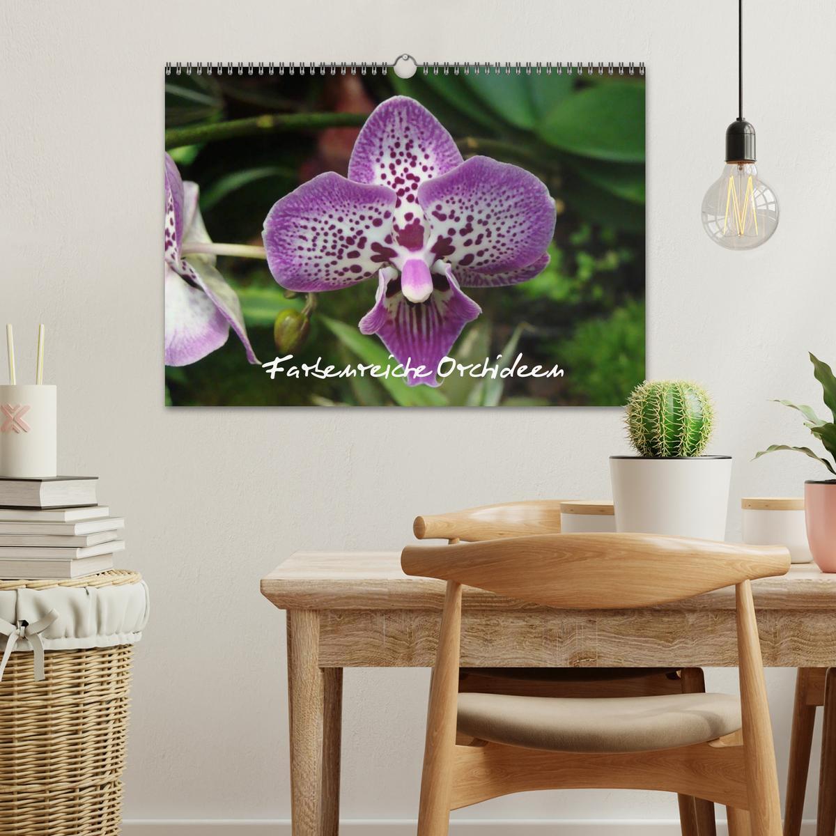 Bild: 9783435822119 | Farbenreiche Orchideen (Wandkalender 2025 DIN A3 quer), CALVENDO...