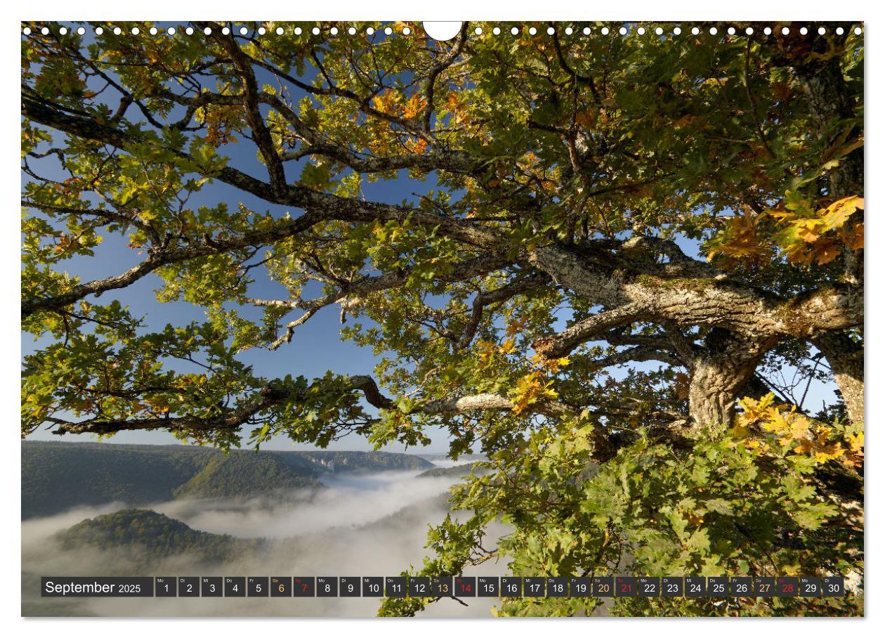 Bild: 9783383895289 | Große Landschaft Obere Donau (Wandkalender 2025 DIN A3 quer),...