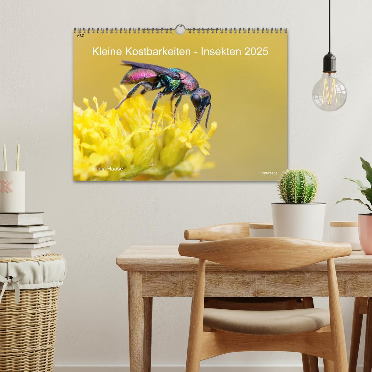 Bild: 9783383992971 | Kleine Kostbarkeiten Insekten (Wandkalender 2025 DIN A3 quer),...