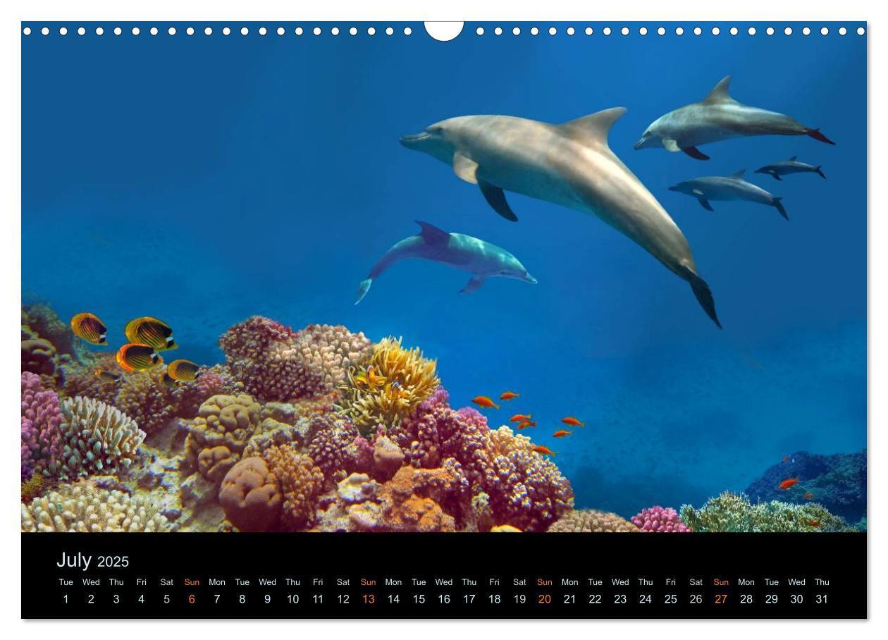 Bild: 9781325959273 | Water Dreams-journey through the sea (Wall Calendar 2025 DIN A3...