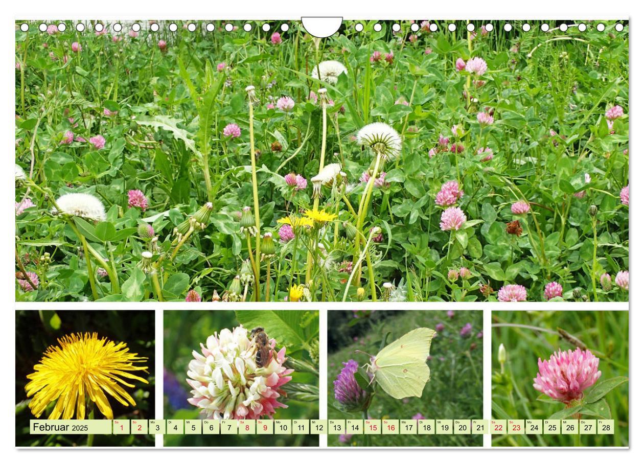 Bild: 9783435221837 | Blütenmeer am Wegesrand (Wandkalender 2025 DIN A4 quer), CALVENDO...