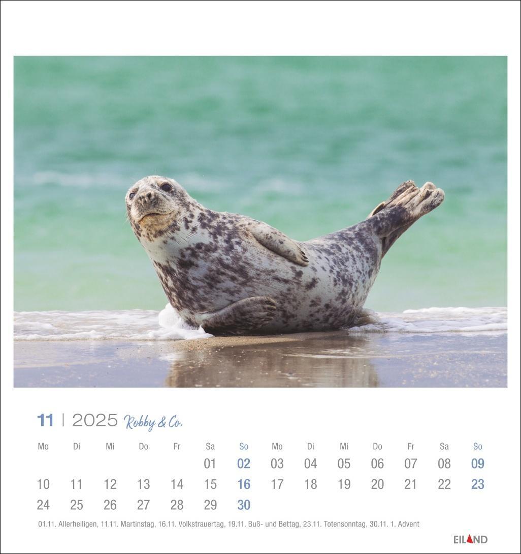 Bild: 9783964023322 | Robby &amp; Co. Postkartenkalender 2025 | Kalender | Spiralbindung | 13 S.