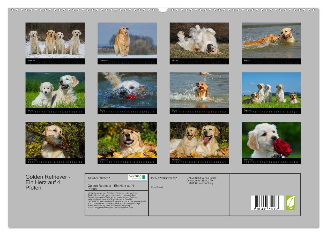 Bild: 9783435797387 | Golden Retriever - Ein Herz auf 4 Pfoten (hochwertiger Premium...