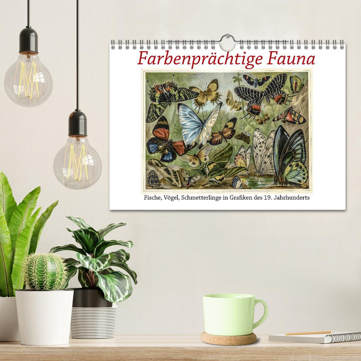 Bild: 9783435327874 | Farbenprächtige Fauna. Fische, Vögel, Schmetterlinge in Grafiken...