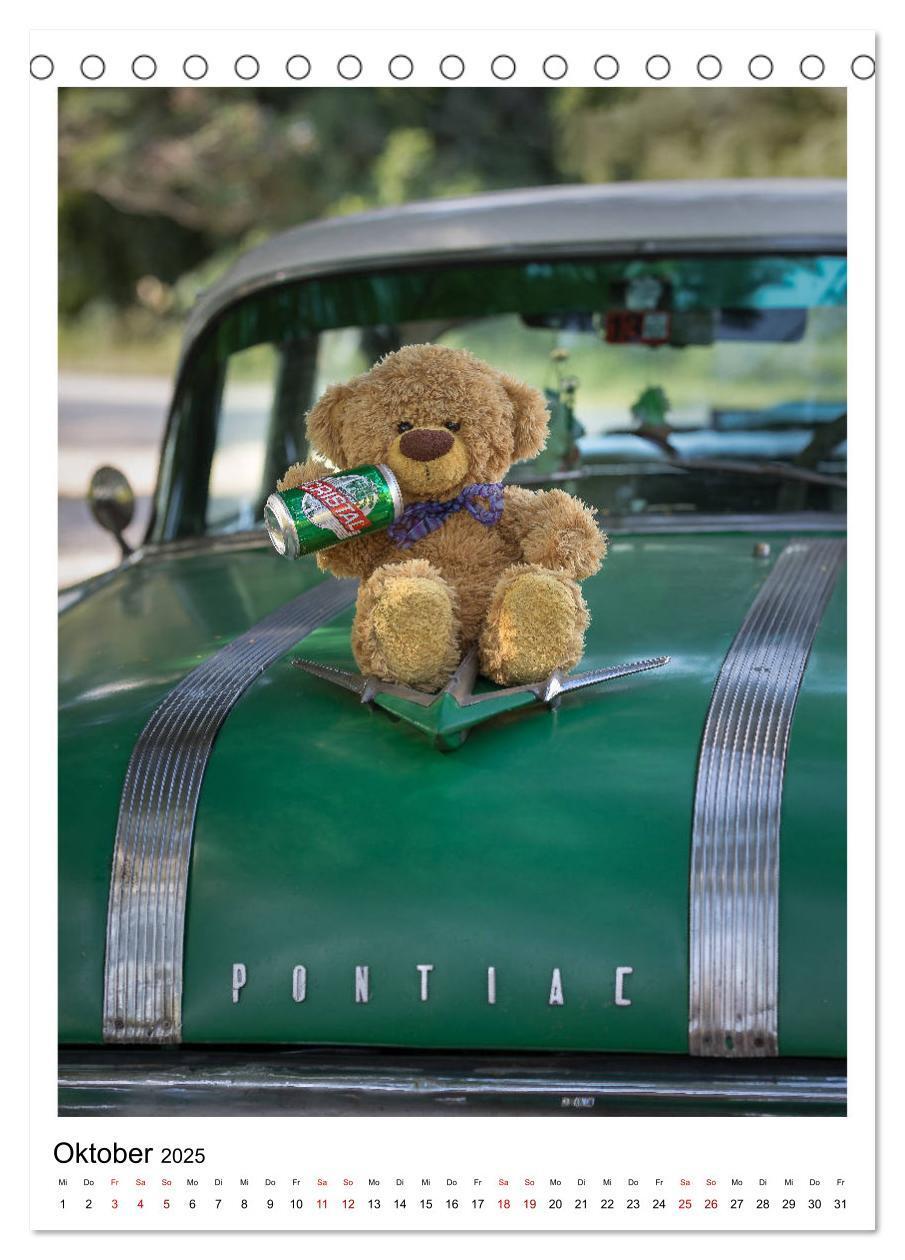 Bild: 9783435984435 | Travelling Teddy Kuba Edition 2025 (Tischkalender 2025 DIN A5...