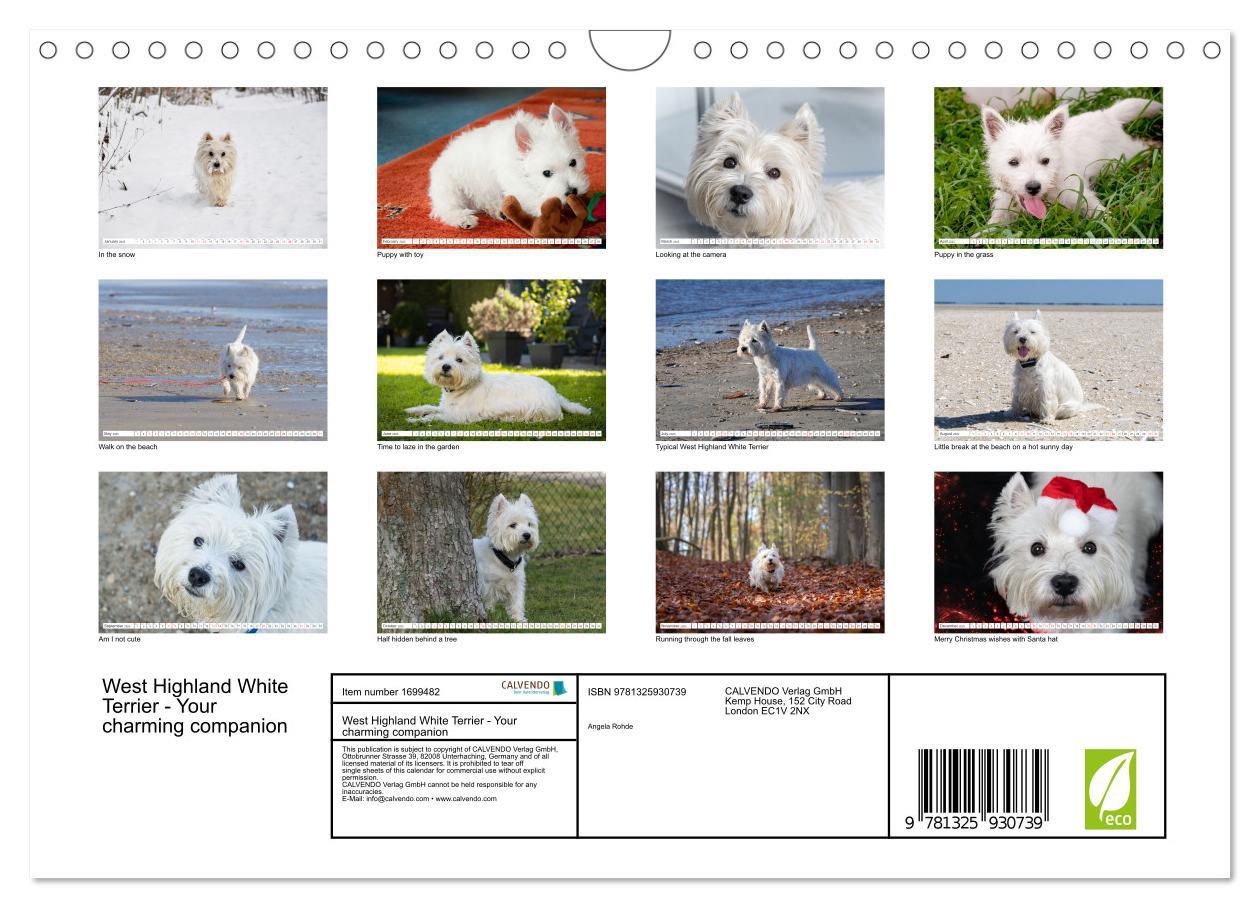 Bild: 9781325930739 | West Highland White Terrier - Your charming companion (Wall...