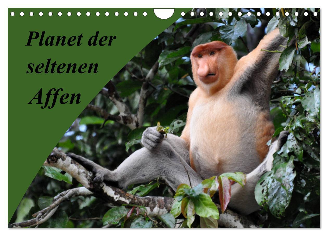 Cover: 9783435369867 | Planet der seltenen Affen (Wandkalender 2025 DIN A4 quer), CALVENDO...