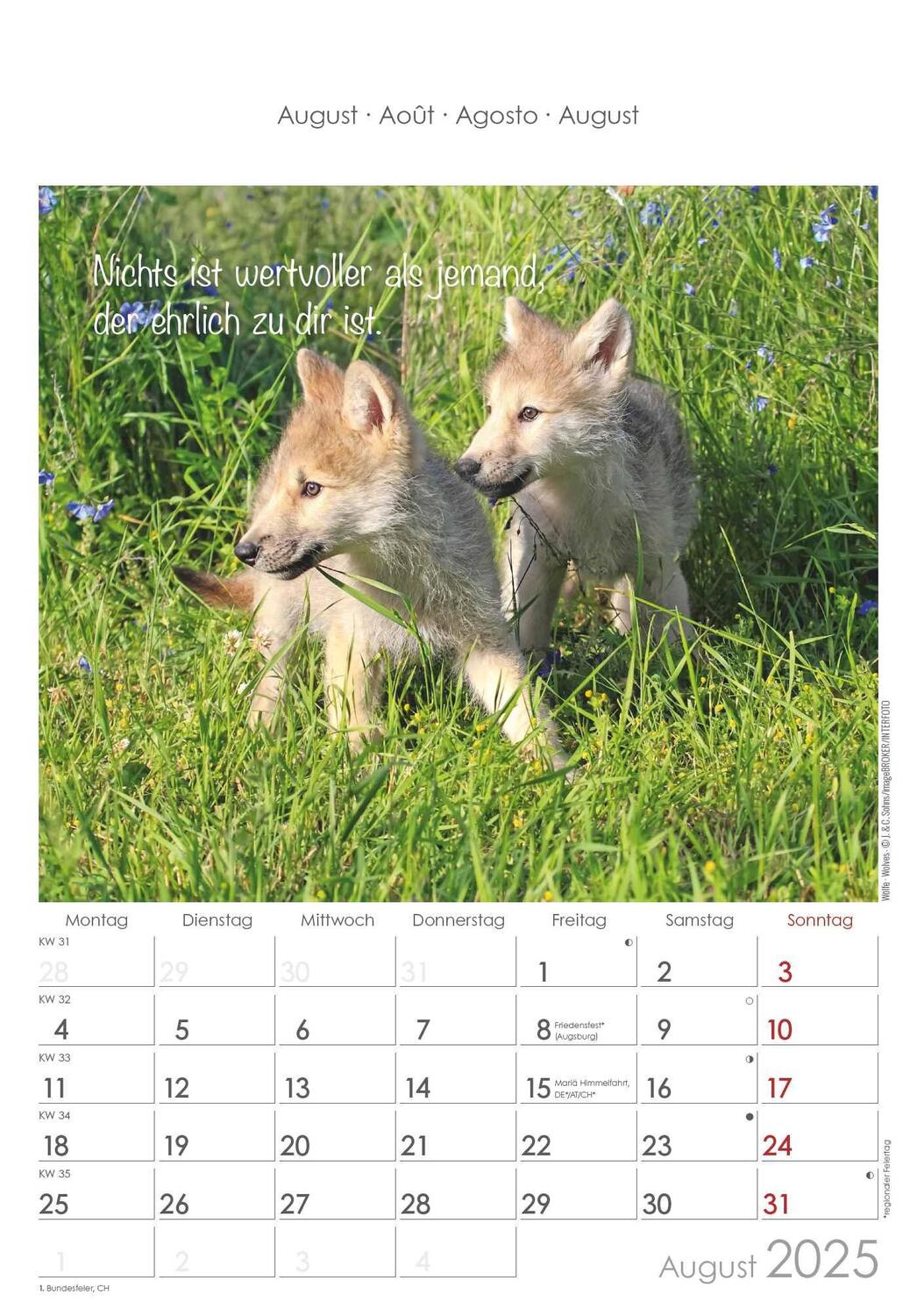 Bild: 4251732341039 | Kleine Freunde 2025 - Bildkalender 23,7x34 cm - Kalender mit Platz...