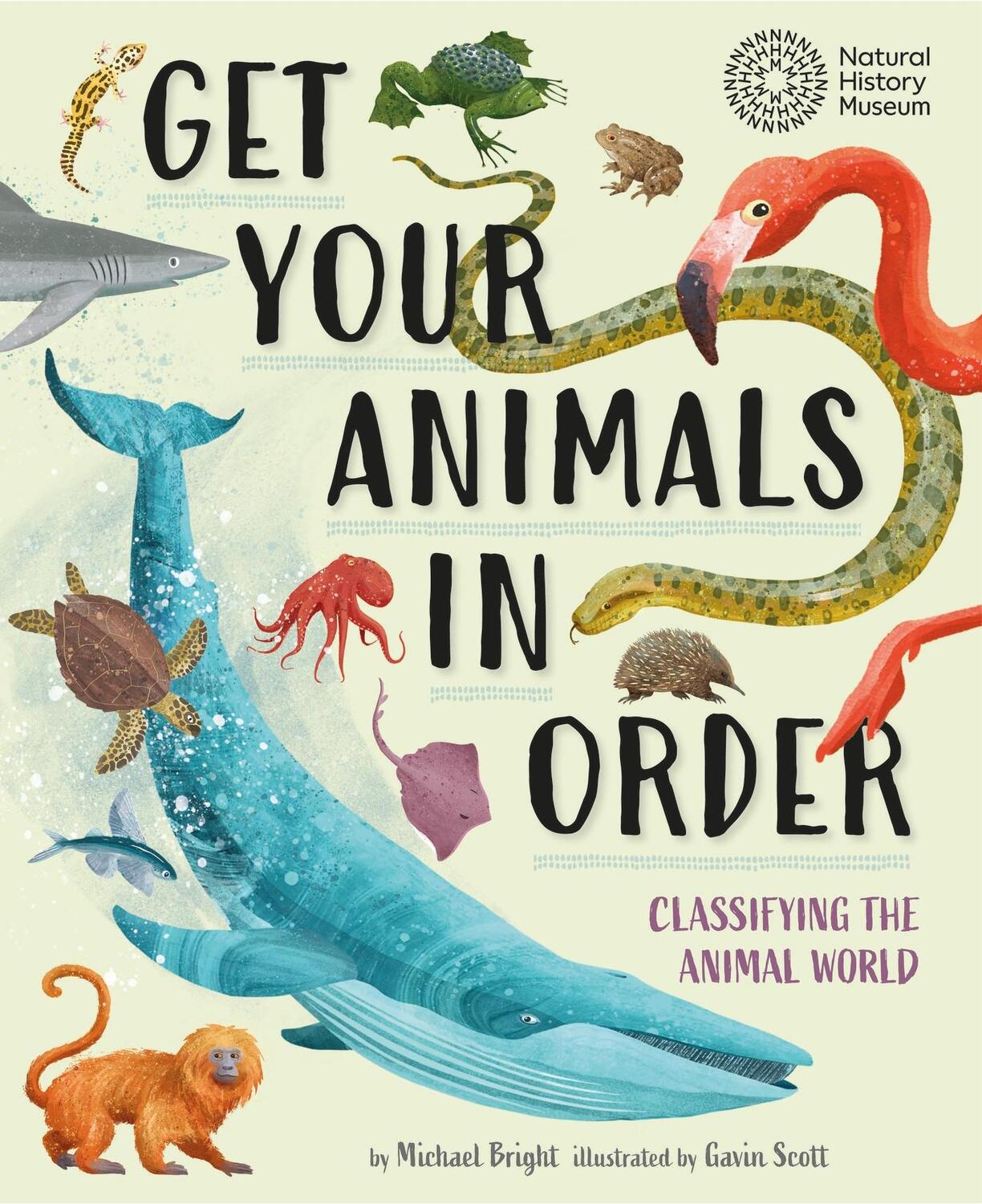 Cover: 9781526322333 | Get Your Animals in Order: Classifying the Animal World | Bright