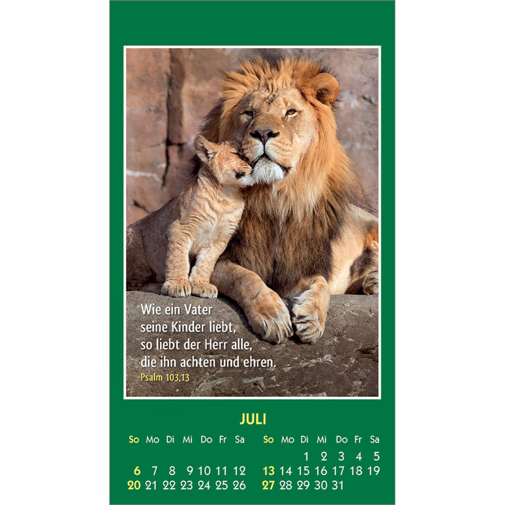 Bild: 9783754893555 | Hallo Du 2025 | Mini-Aufkleber-Kalender | Kalender | 14 S. | Deutsch