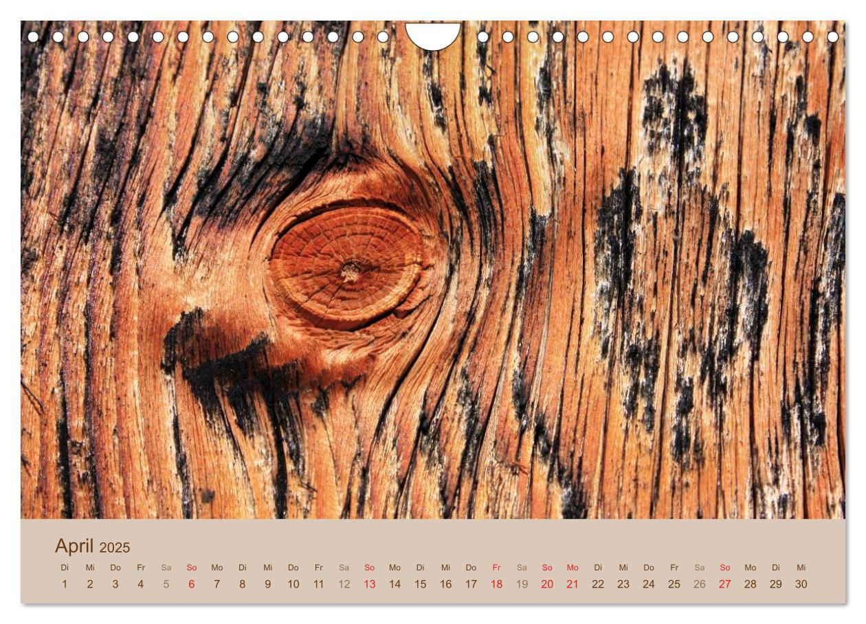 Bild: 9783435476268 | Farben des Holzes (Wandkalender 2025 DIN A4 quer), CALVENDO...