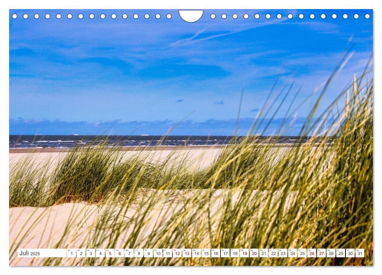 Bild: 9783383922930 | Langeoog - Perle der Natur (Wandkalender 2025 DIN A4 quer),...