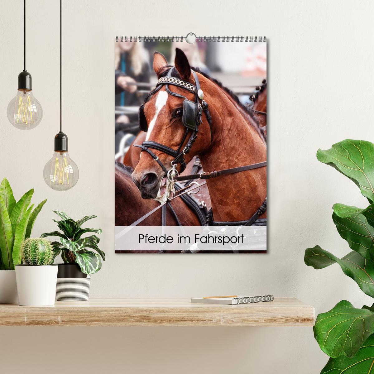 Bild: 9783435980468 | Pferde im Fahrsport (Wandkalender 2025 DIN A3 hoch), CALVENDO...