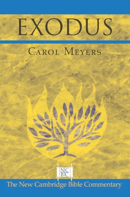 Cover: 9780521002912 | Exodus | Carol L. Meyers | Taschenbuch | Englisch | 2010