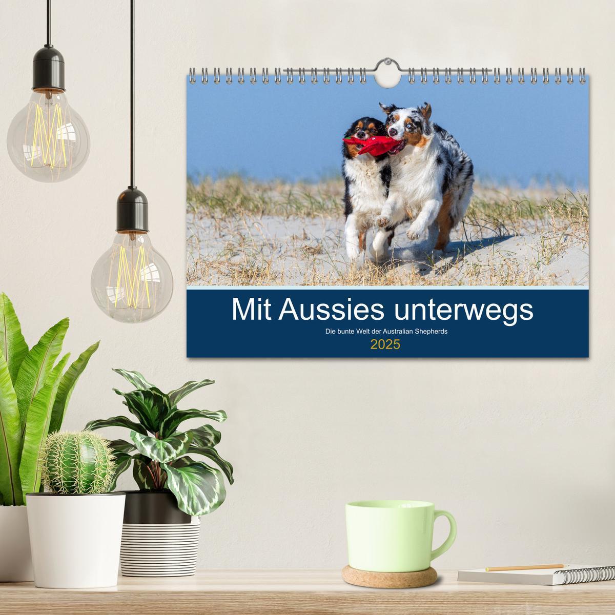 Bild: 9783435762880 | Mit Aussies unterwegs - Die bunte Welt der Australian Shepherds...