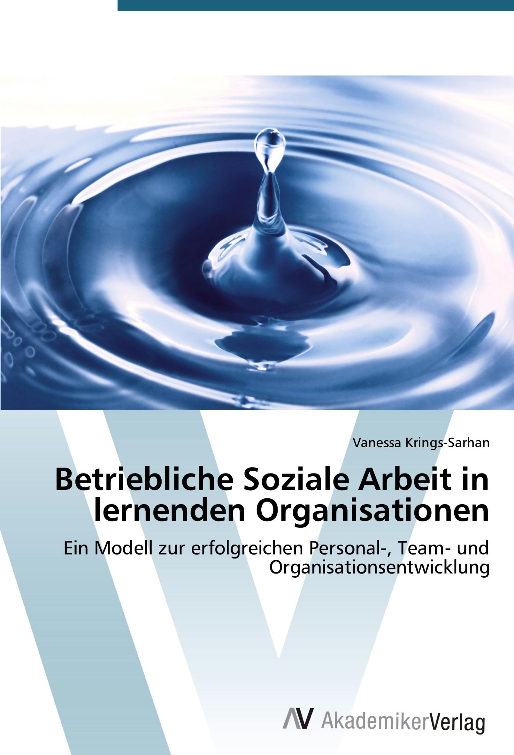 Cover: 9783639393255 | Betriebliche Soziale Arbeit in lernenden Organisationen | Taschenbuch