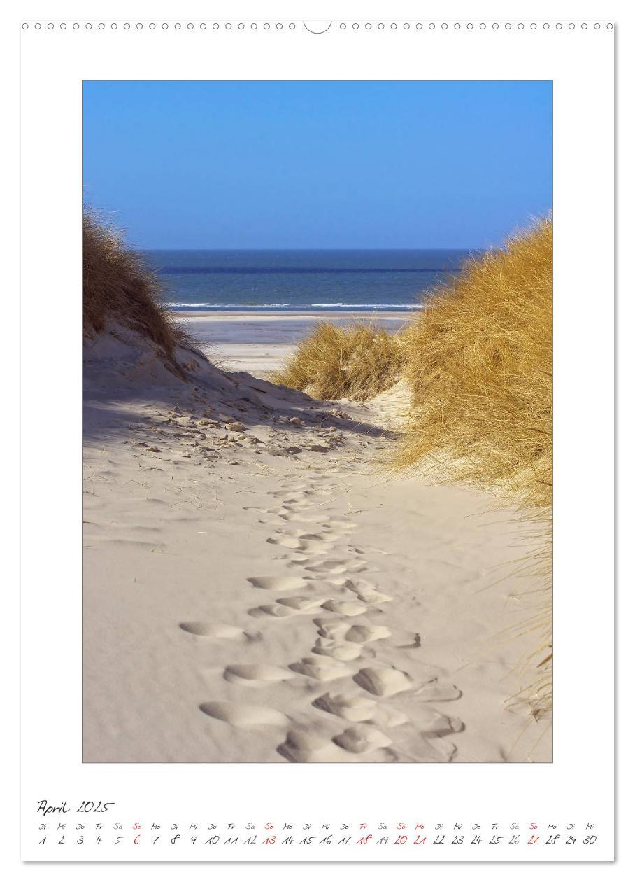 Bild: 9783457082836 | Insel Amrum (Wandkalender 2025 DIN A2 hoch), CALVENDO Monatskalender