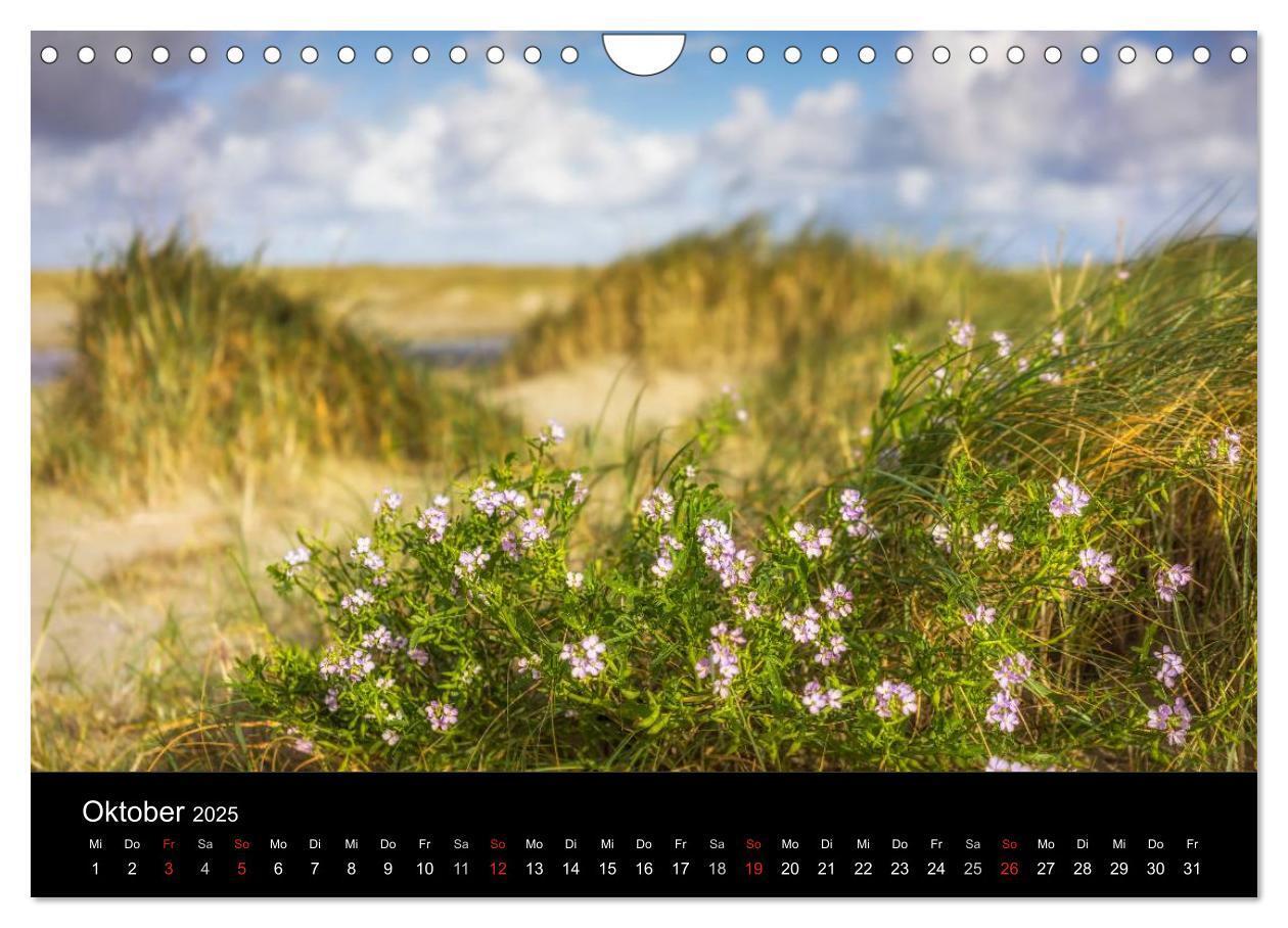 Bild: 9783435558360 | Fanø - Meine Insel (Wandkalender 2025 DIN A4 quer), CALVENDO...