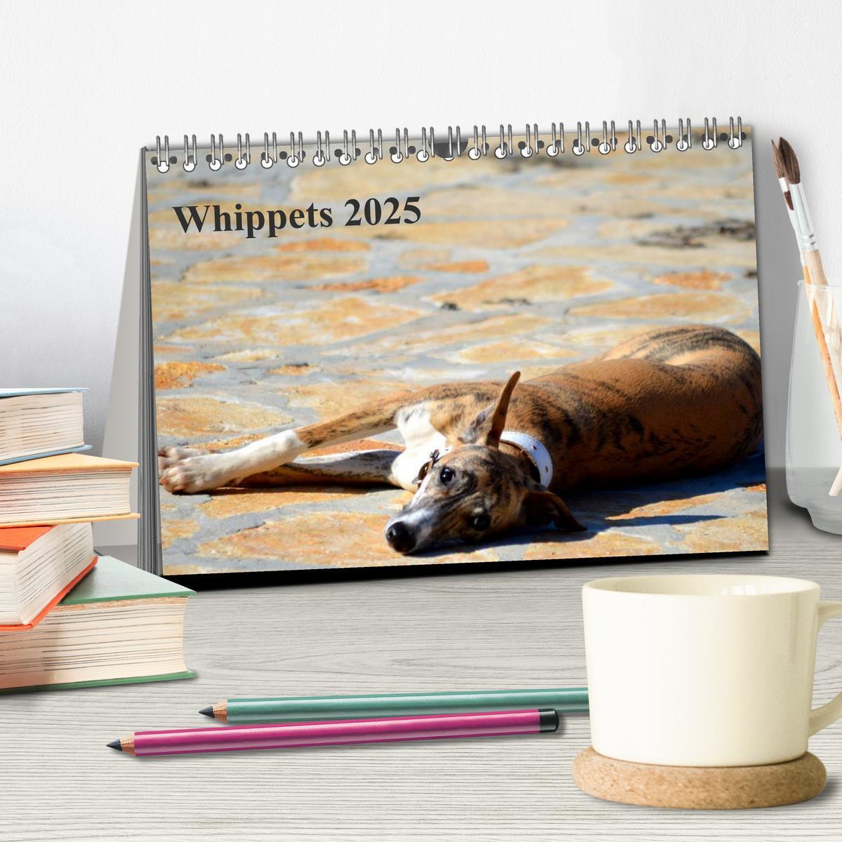 Bild: 9783435643141 | Whippet 2025 (Tischkalender 2025 DIN A5 quer), CALVENDO Monatskalender