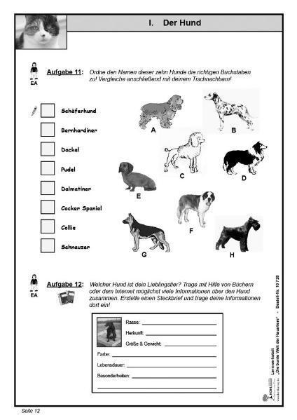 Bild: 9783866327283 | Lernwerkstatt - Die bunte Welt der Haustiere | Broschüre | 40 S.