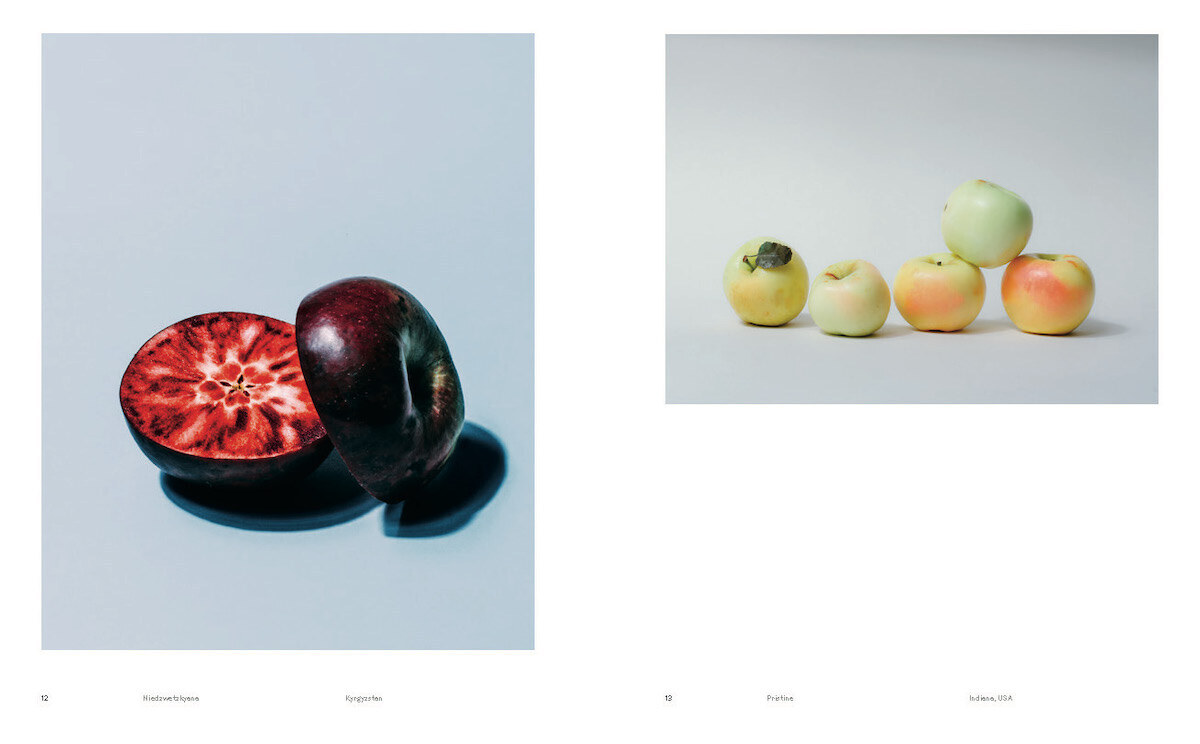 Bild: 9783775751155 | Odd Apples | (Special Edition) | A.A. Trabucco-Campos (u. a.) | Buch