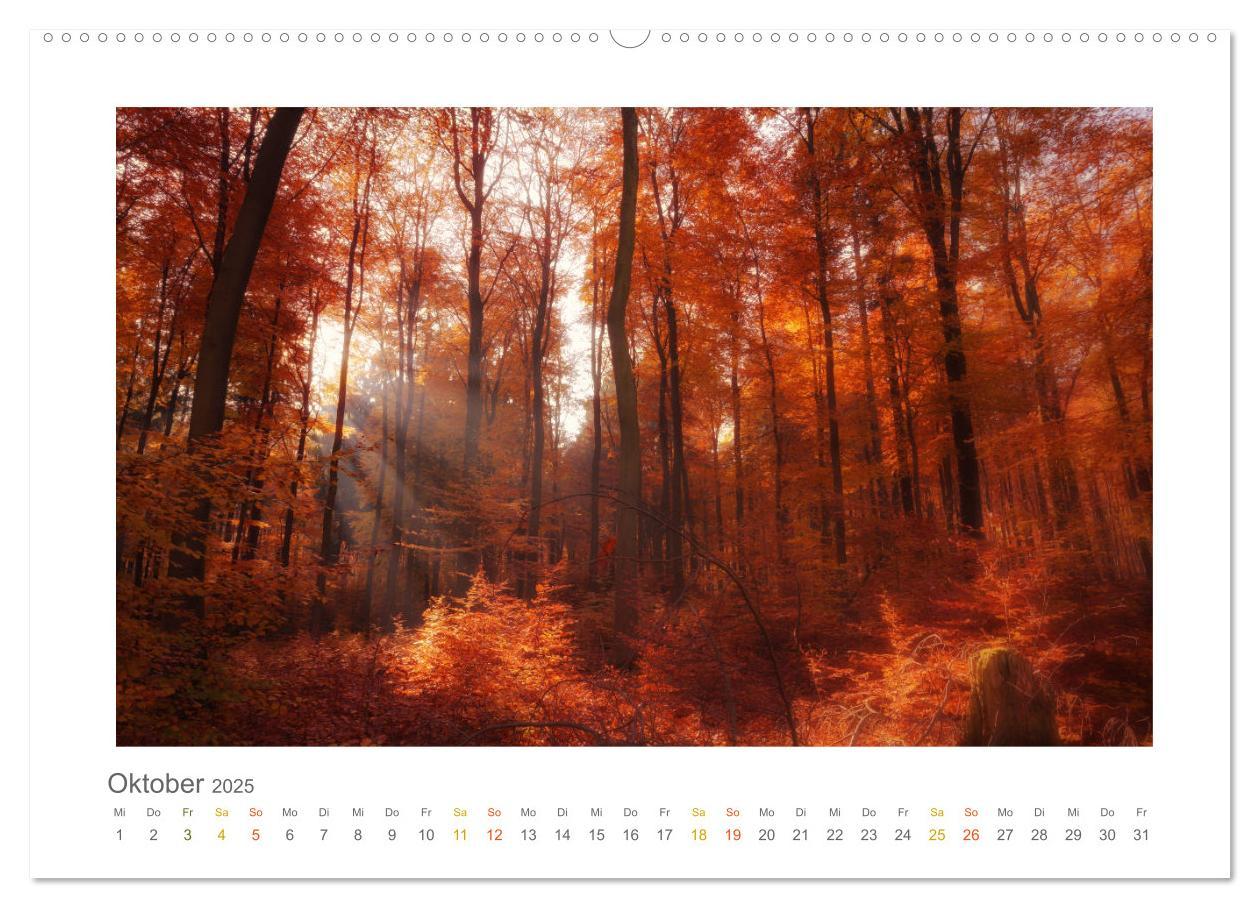 Bild: 9783435411092 | Im Märchenwald des Untertaunus (hochwertiger Premium Wandkalender...