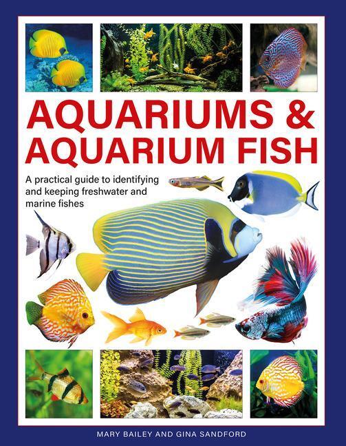 Cover: 9780754835585 | Aquariums &amp; Aquarium Fish | Gina Sandford (u. a.) | Buch | Gebunden