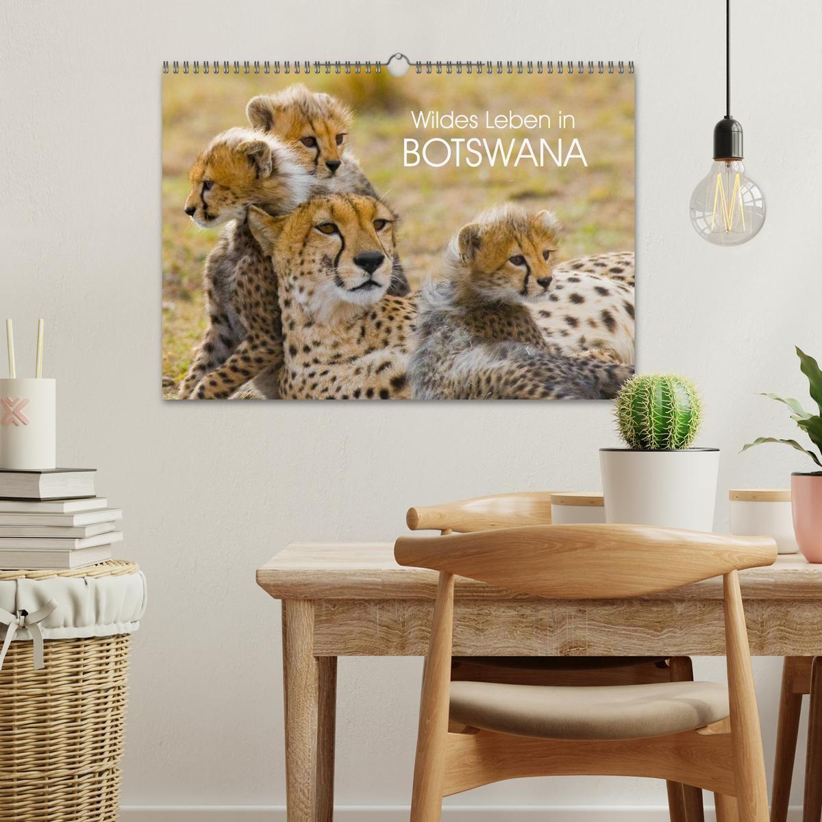 Bild: 9783435491766 | Wildes Leben in Botswana (Wandkalender 2025 DIN A3 quer), CALVENDO...