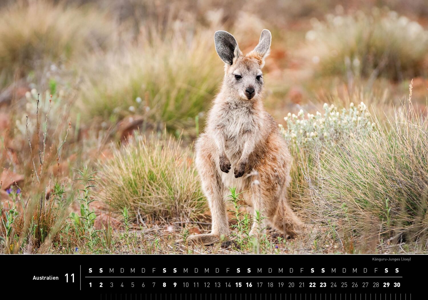 Bild: 9783968555102 | 360° Australien Premiumkalender 2025 | Ingo Öland | Kalender | 13 S.