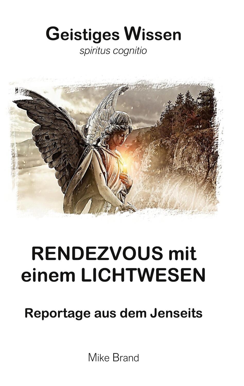 Cover: 9783741285561 | Rendezvous mit einem Lichtwesen | Reportage aus dem Jenseits | Brand