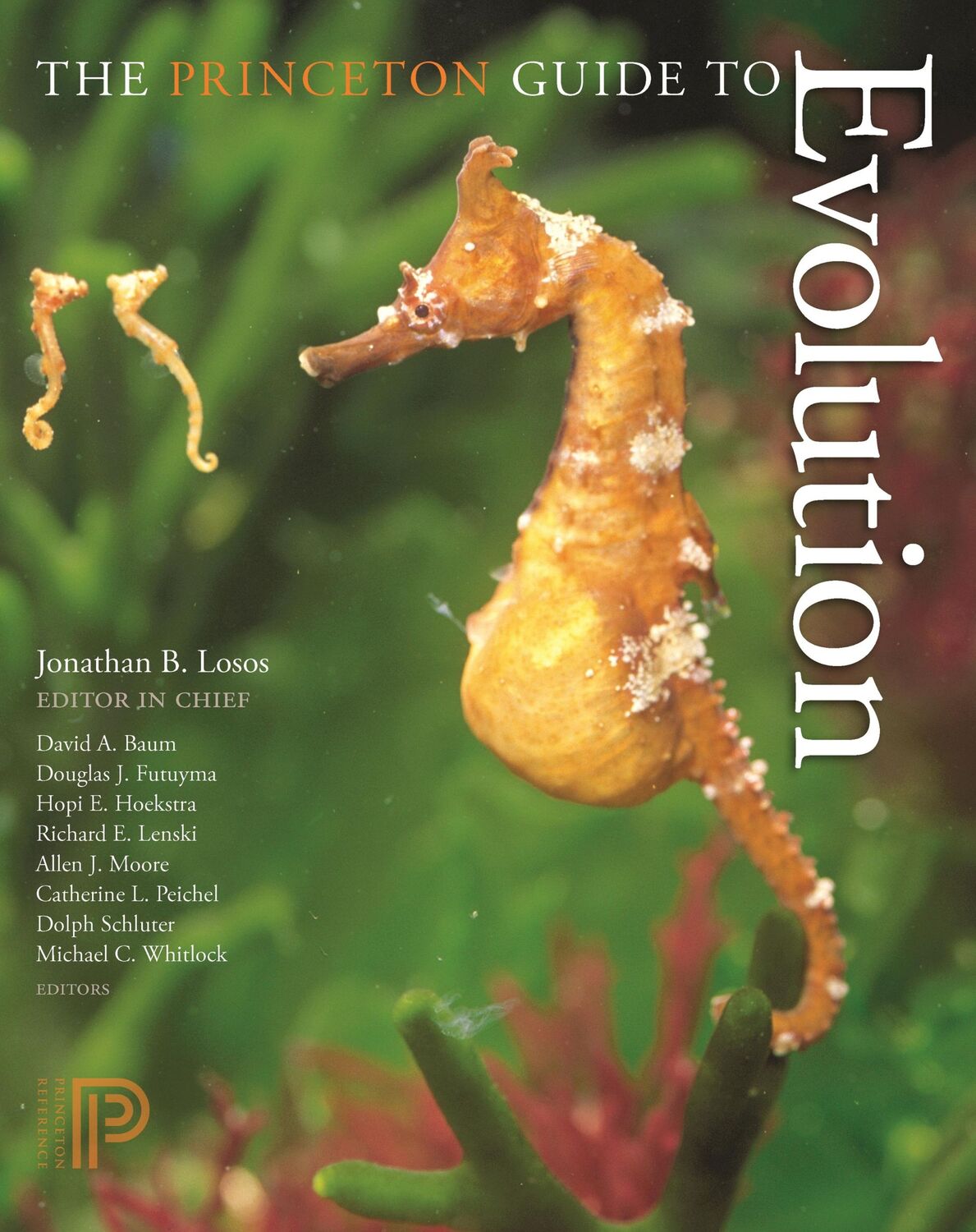 Cover: 9780691175874 | The Princeton Guide to Evolution | David A Baum (u. a.) | Taschenbuch