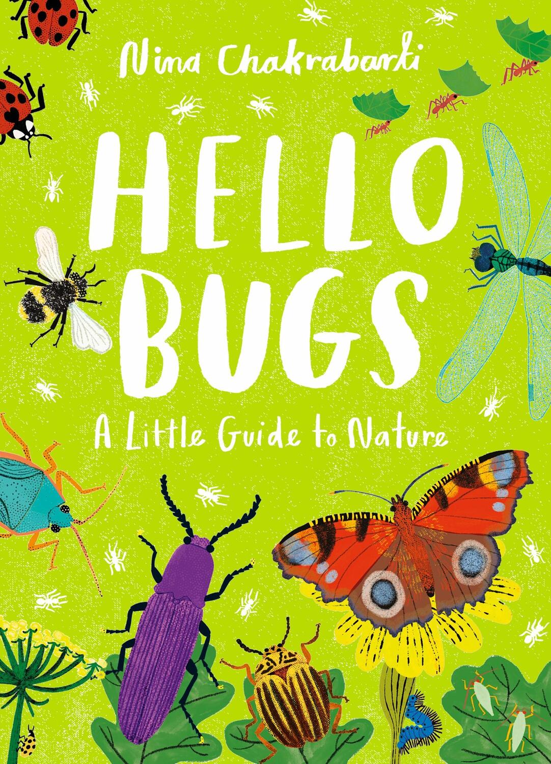 Cover: 9781510230491 | Little Guides to Nature: Hello Bugs | Nina Chakrabarti | Buch | 48 S.