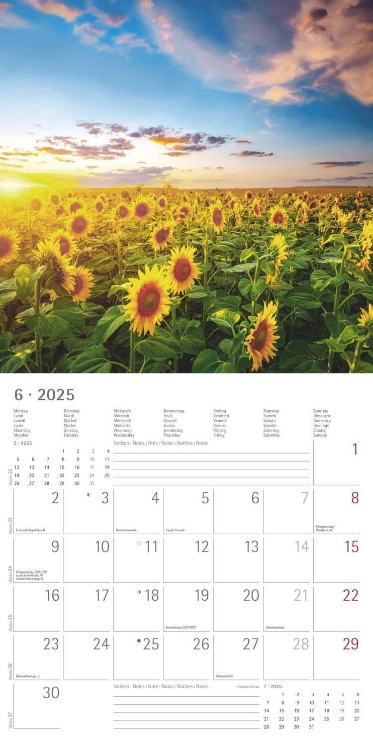 Bild: 4251732340902 | Sunny Moments 2025 - Broschürenkalender 30x30 cm (30x60 geöffnet) -...