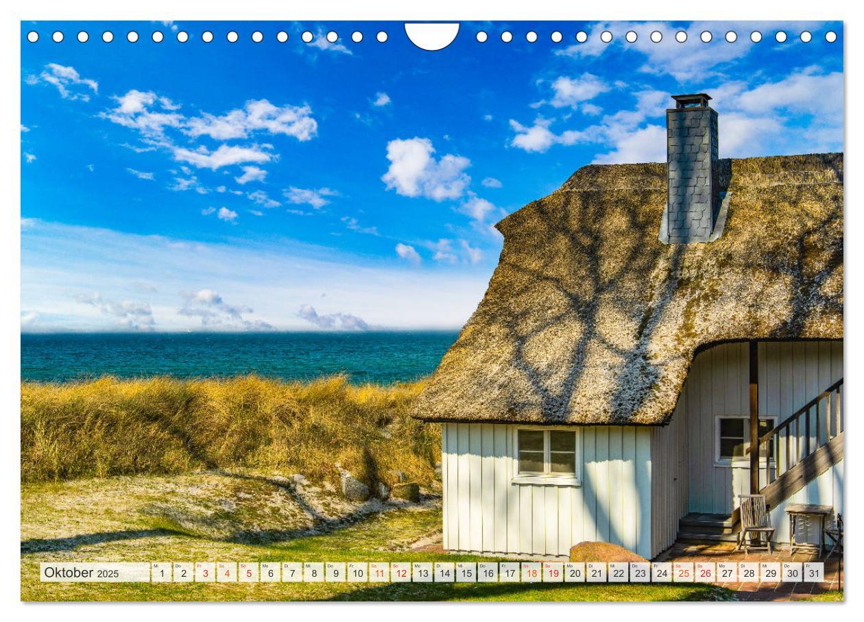 Bild: 9783435239184 | Ahrenshoop Impressionen (Wandkalender 2025 DIN A4 quer), CALVENDO...