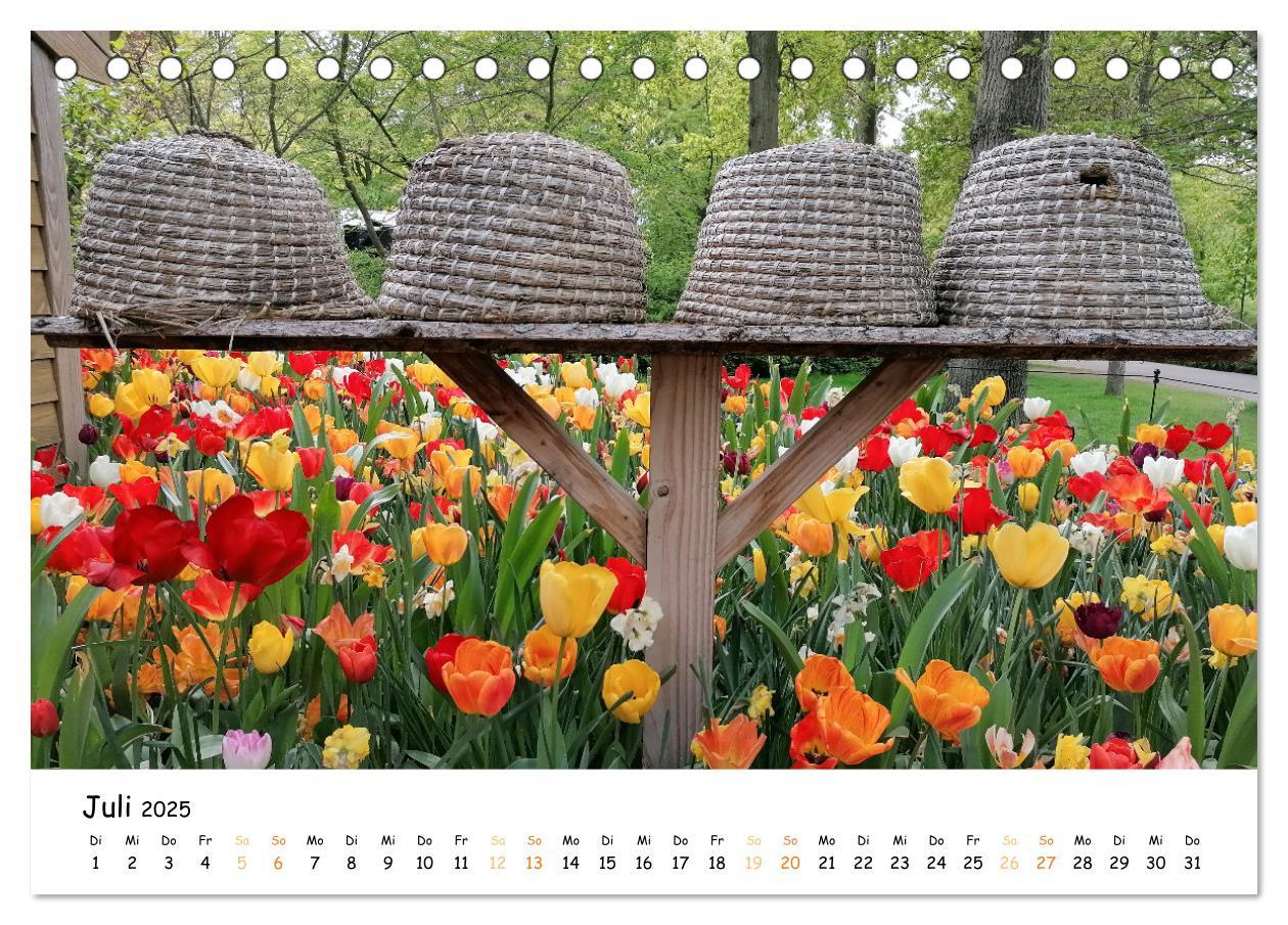 Bild: 9783383923623 | Auf Tour im Land der Tulpen (Tischkalender 2025 DIN A5 quer),...