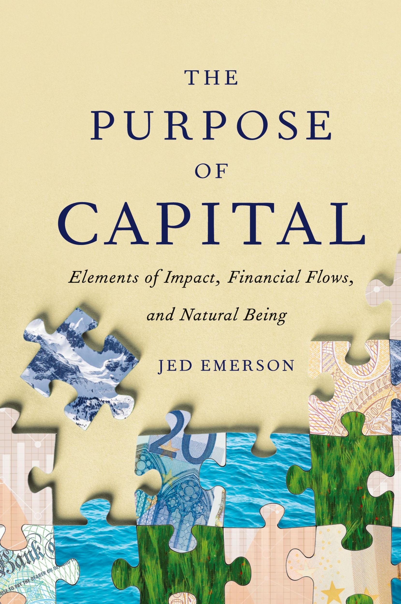 Cover: 9781732453104 | The Purpose of Capital | Jed Emerson | Buch | Englisch | 2018