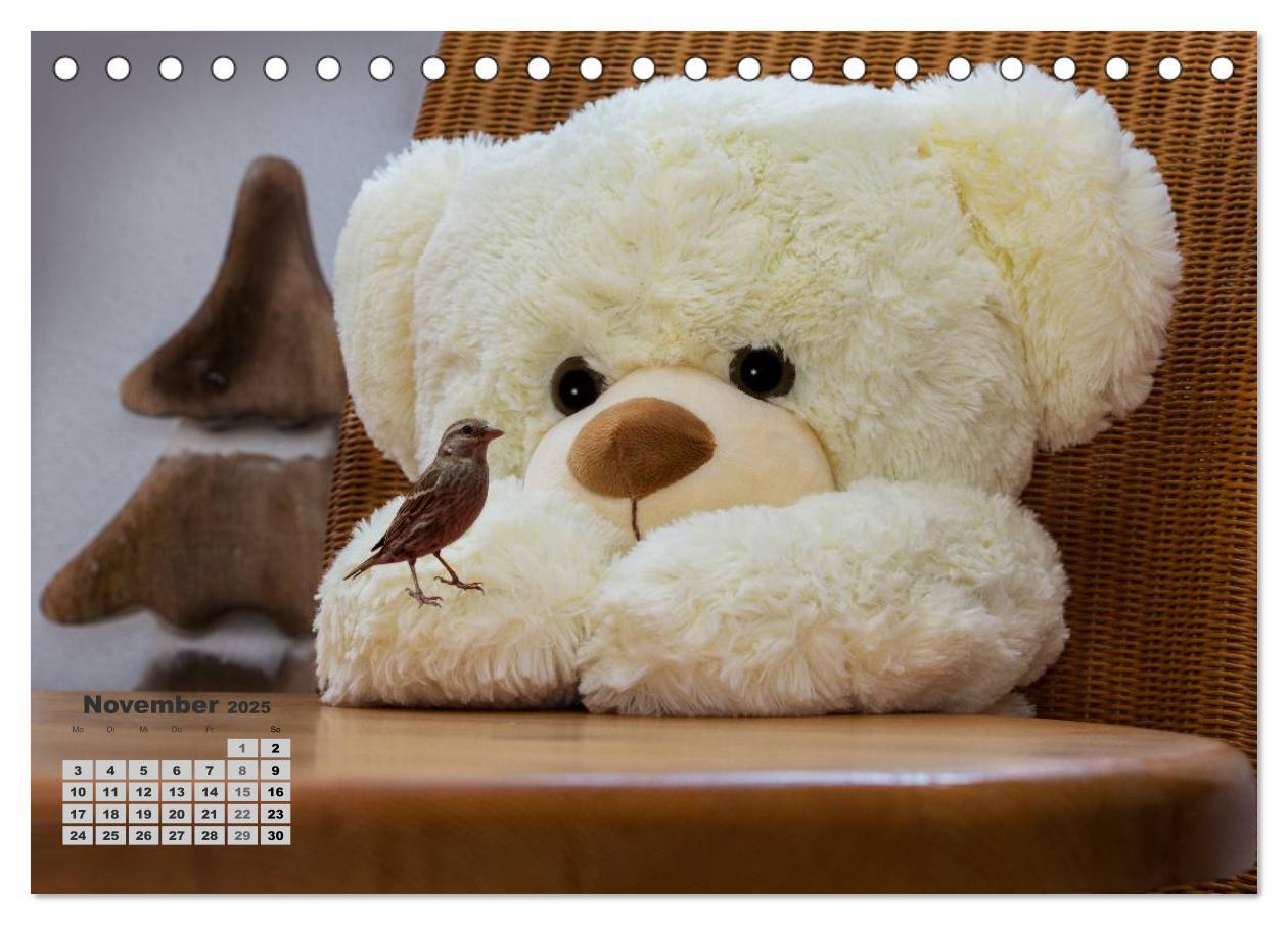 Bild: 9783435501601 | Teddys, wollen wir Kalender anschauen? (Tischkalender 2025 DIN A5...