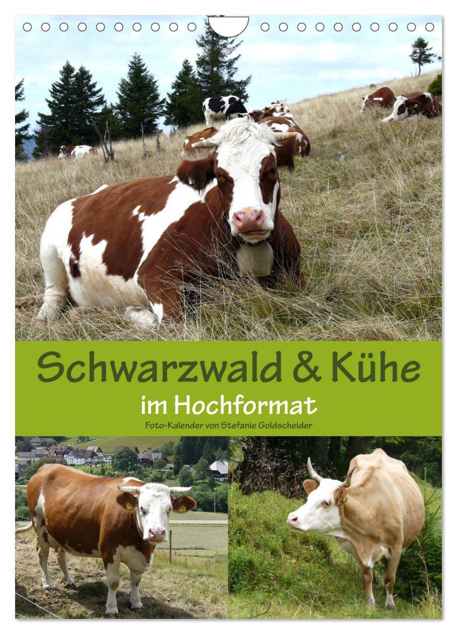 Cover: 9783457027752 | Schwarzwald und Kühe im Hochformat (Wandkalender 2025 DIN A4 hoch),...