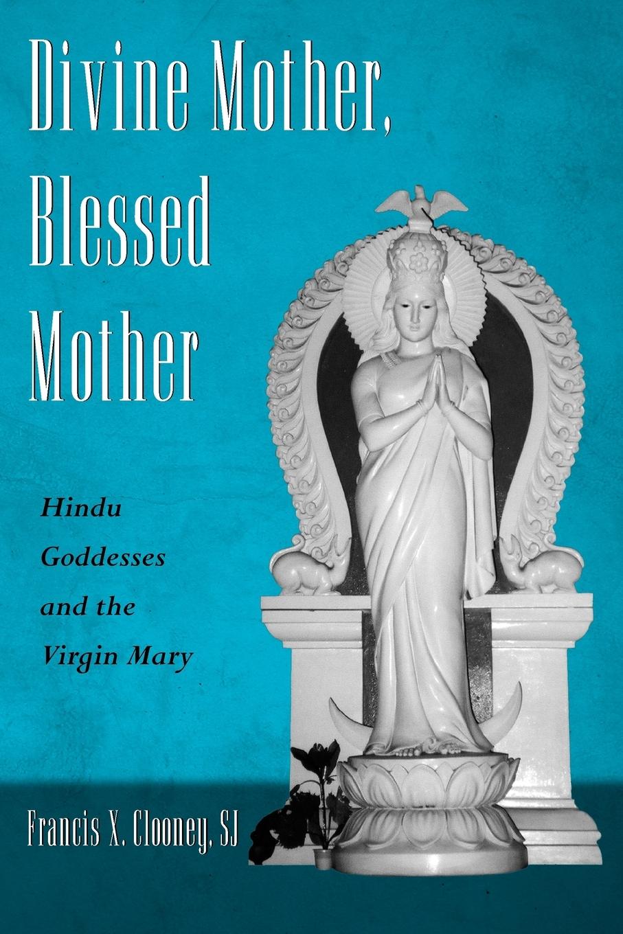 Cover: 9780199738731 | Divine Mother, Blessed Mother | Hindu Goddesses and the Virgin Mary