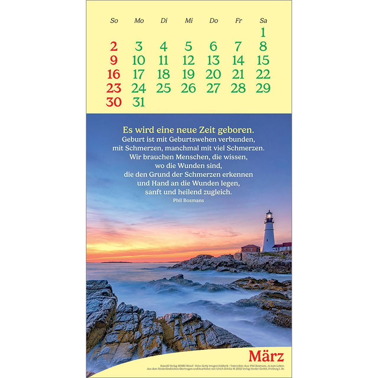 Bild: 9783754857052 | Vitamine fürs Herz 2025 | Phil-Bosmans-Kalender | Phil Bosmans | 14 S.