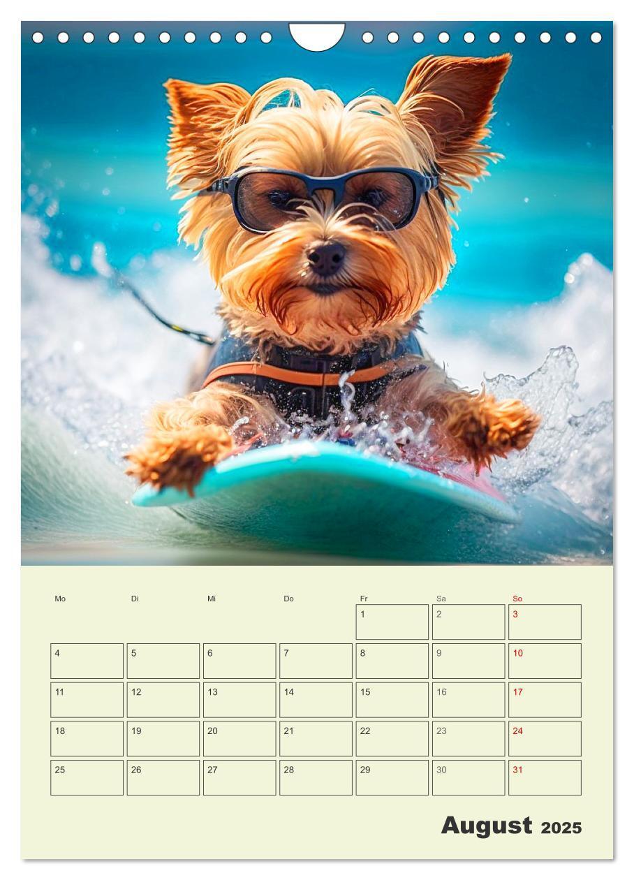 Bild: 9783435869886 | Yorkshire Terrier. Fröhliche Energiebündel in Aktion (Wandkalender...