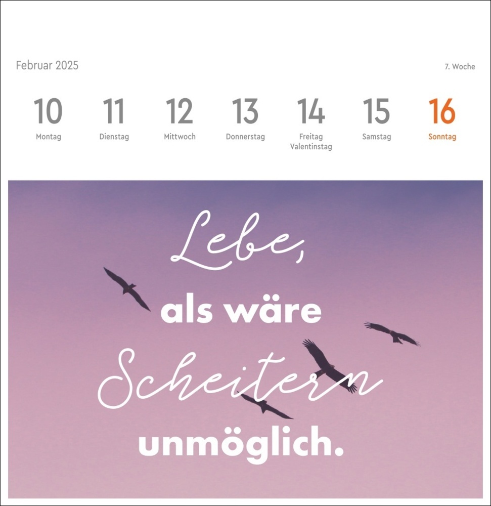 Bild: 9783756409136 | Visual Statements Premium-Postkartenkalender 2025 | Kalender | 54 S.