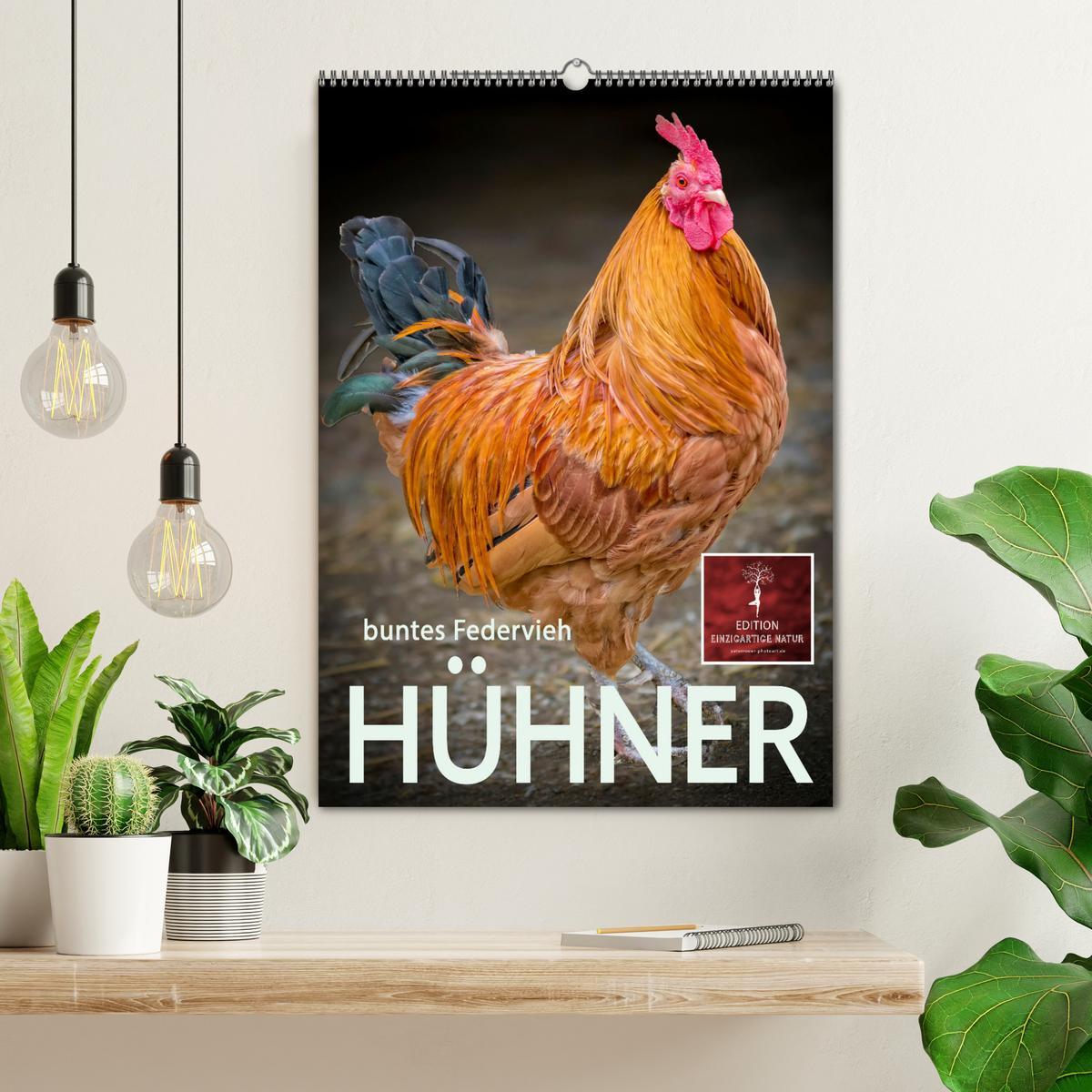 Bild: 9783435930760 | Hühner - buntes Federvieh (Wandkalender 2025 DIN A2 hoch), CALVENDO...