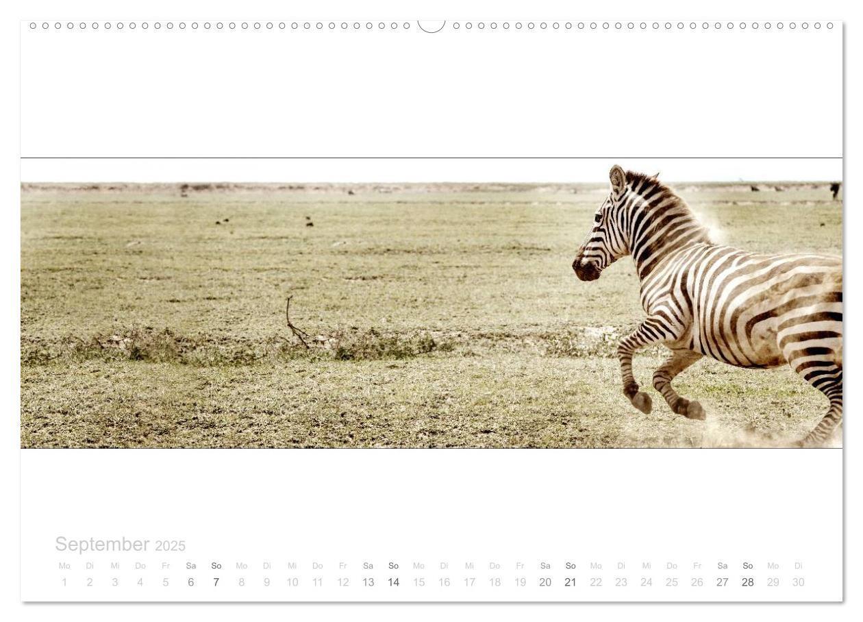 Bild: 9783435685547 | Serengeti Panorama (hochwertiger Premium Wandkalender 2025 DIN A2...